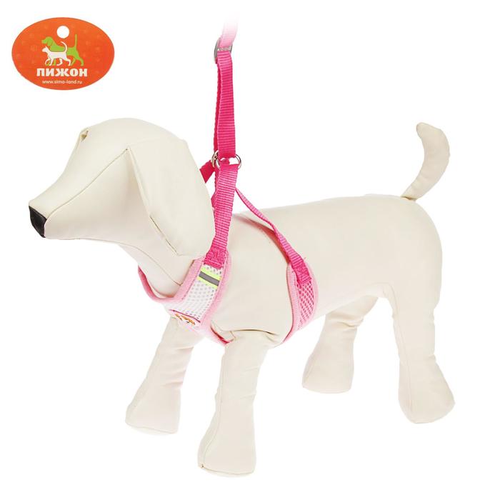 Шлейка регулируемая дышащая, светоотражающая, размер S, розовая