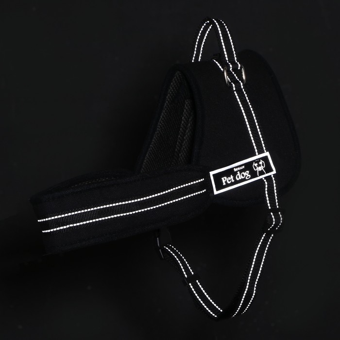 Шлейка с подкладом, размер S, стропа 2,5 см, черная