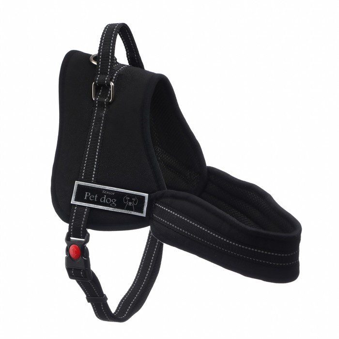 Шлейка с подкладом, размер S, стропа 2,5 см, черная