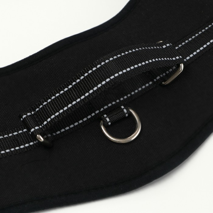 Шлейка с подкладом, размер S, стропа 2,5 см, черная