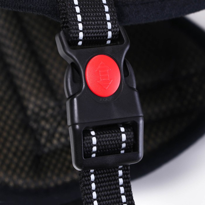 Шлейка с подкладом, размер S, стропа 2,5 см, черная