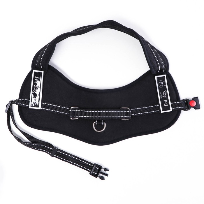 Шлейка с подкладом, размер S, стропа 2,5 см, черная