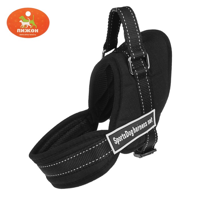 Шлейка с подкладом, размер M (ОШ 60, ОГ 62-76 см), стропа 2,5 см, черная