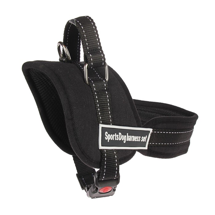 Шлейка с подкладом, размер M (ОШ 60, ОГ 62-76 см), стропа 2,5 см, черная