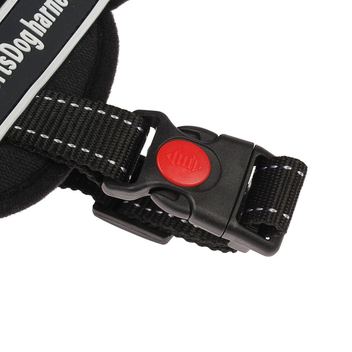 Шлейка с подкладом, размер M (ОШ 60, ОГ 62-76 см), стропа 2,5 см, черная