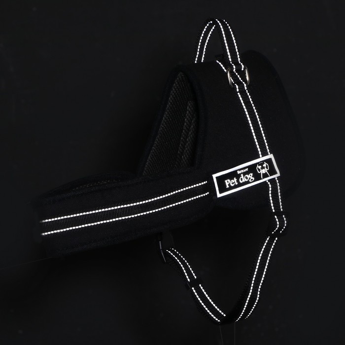 Шлейка с подкладом, размер L (ОШ 66, ОГ 66-80 см), стропа 2,5 см, черная