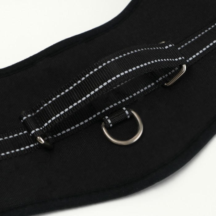 Шлейка с подкладом, размер L (ОШ 66, ОГ 66-80 см), стропа 2,5 см, черная