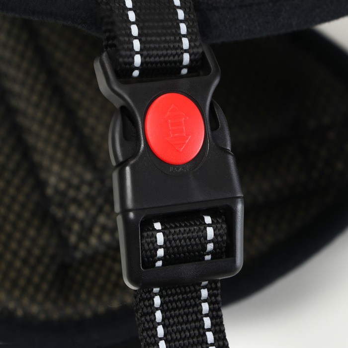 Шлейка с подкладом, размер L (ОШ 66, ОГ 66-80 см), стропа 2,5 см, черная