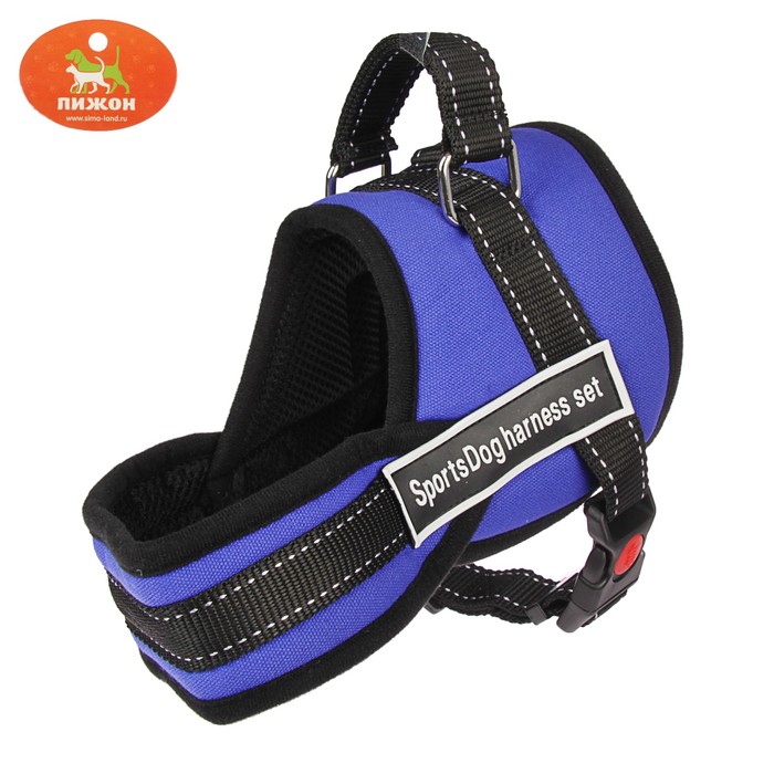 Шлейка с подкладом, размер S, стропа 2,5 см, синяя