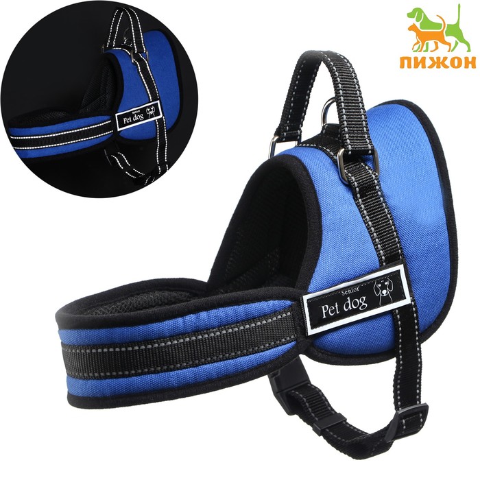 Шлейка с подкладом, размер M (ОШ 60, ОГ 62-76 см), стропа 2,5 см, синяя