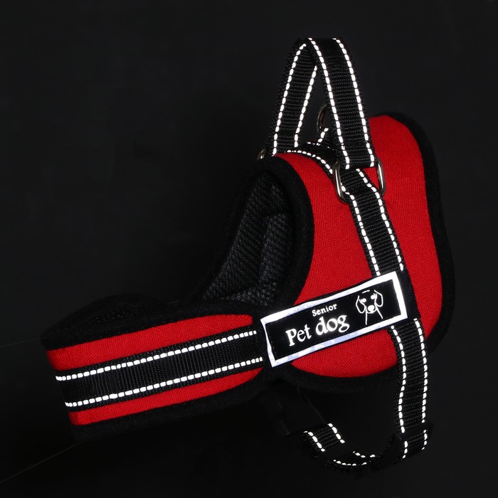 Шлейка с подкладом, размер XS (ОШ 45, ОГ 48-56 см), стропа 2,5 см, красная