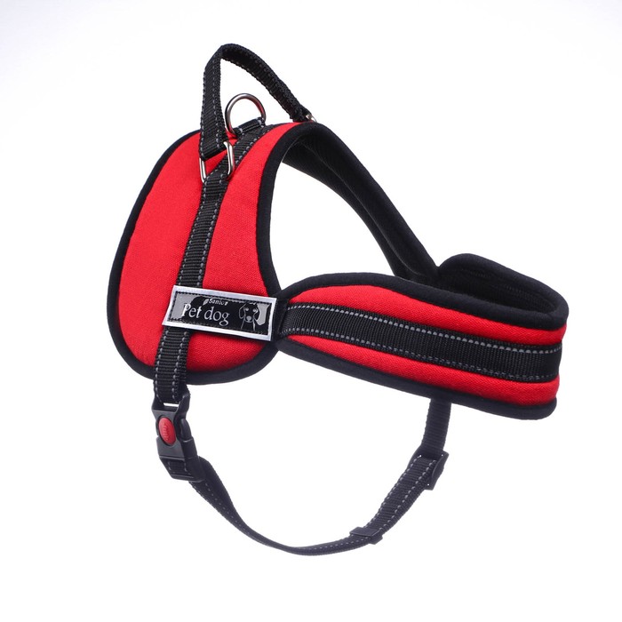 Шлейка с подкладом, размер XS (ОШ 45, ОГ 48-56 см), стропа 2,5 см, красная