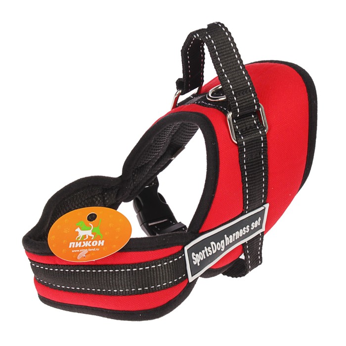 Шлейка с подкладом, размер XS (ОШ 45, ОГ 48-56 см), стропа 2,5 см, красная