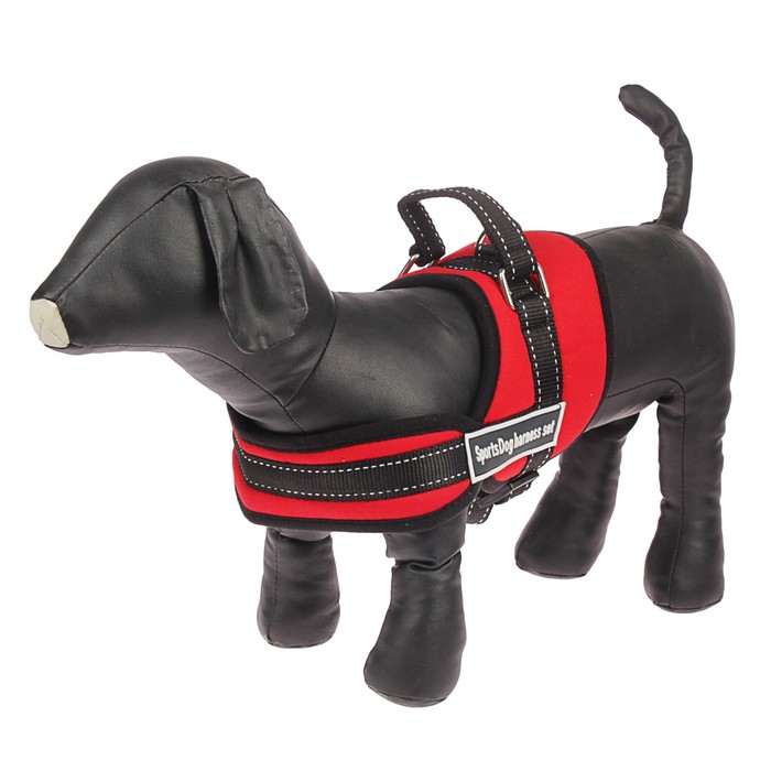 Шлейка с подкладом, размер S, стропа 2,5 см, красная