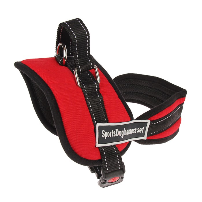 Шлейка с подкладом, размер S, стропа 2,5 см, красная