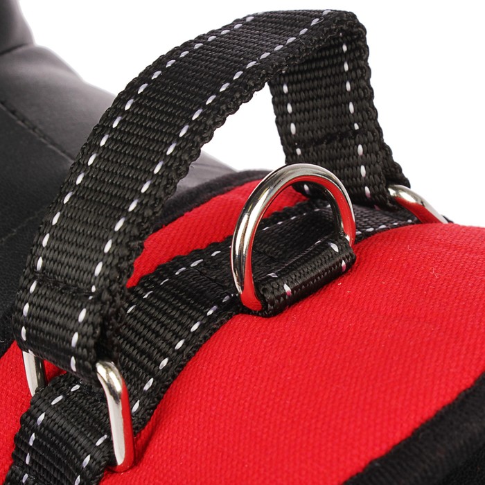 Шлейка с подкладом, размер S, стропа 2,5 см, красная