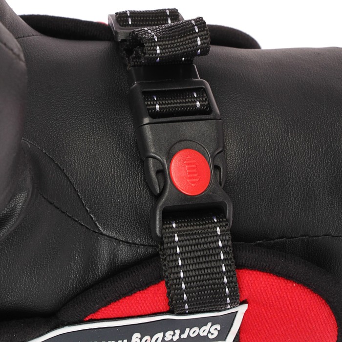 Шлейка с подкладом, размер S, стропа 2,5 см, красная