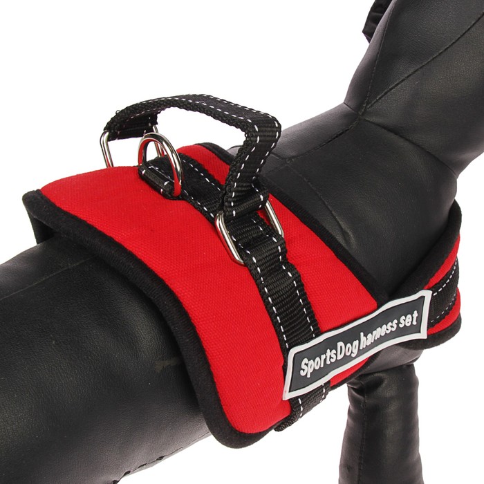 Шлейка с подкладом, размер S, стропа 2,5 см, красная