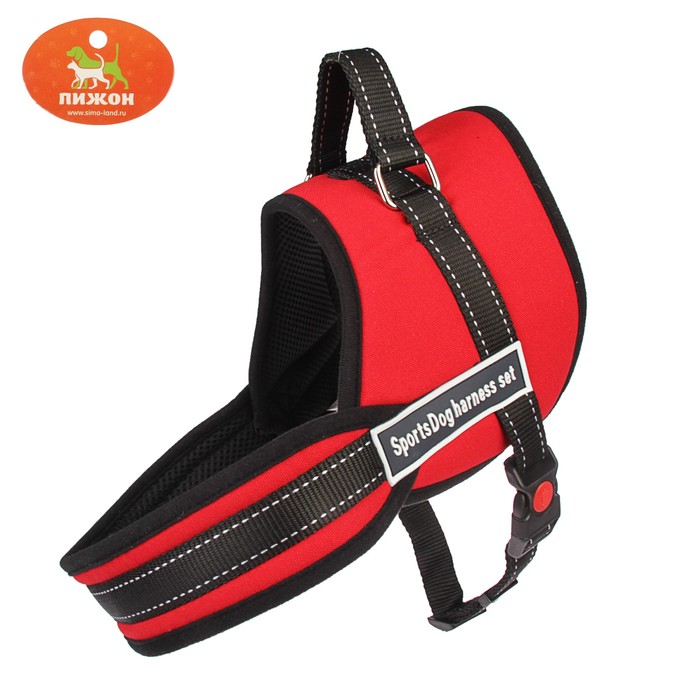 Шлейка с подкладом, размер L (ОШ 66, ОГ 66-80 см), стропа 2,5 см, красная