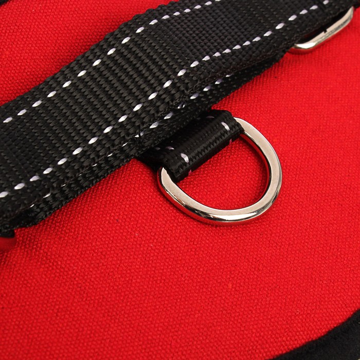 Шлейка с подкладом, размер L (ОШ 66, ОГ 66-80 см), стропа 2,5 см, красная