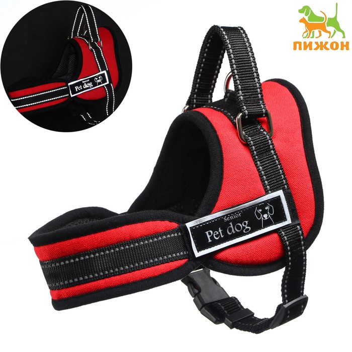 Шлейка с подкладом, размер XL (ОШ 68, ОГ 68-86 см), стропа 2,5 см, красная