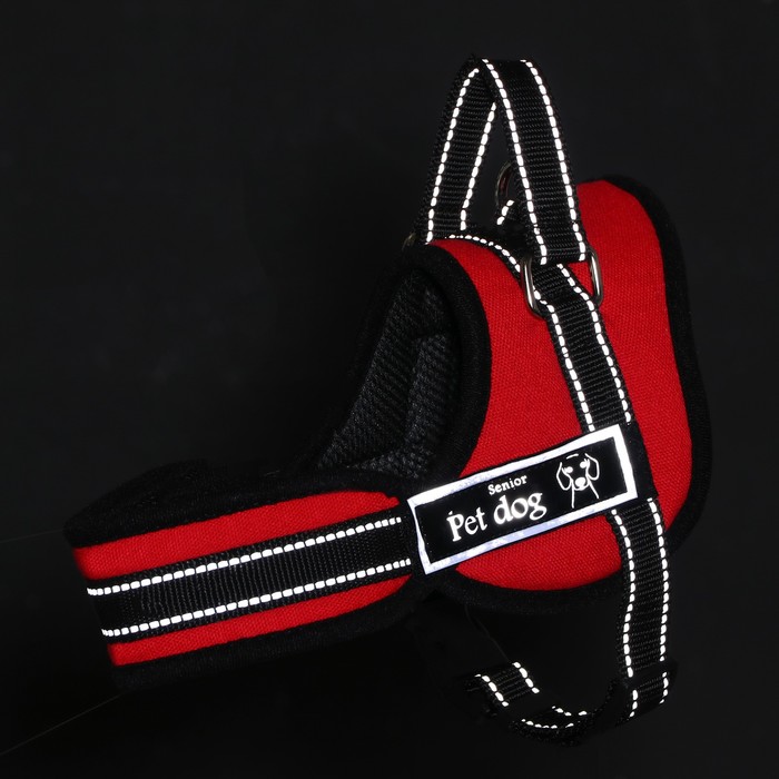 Шлейка с подкладом, размер XL (ОШ 68, ОГ 68-86 см), стропа 2,5 см, красная