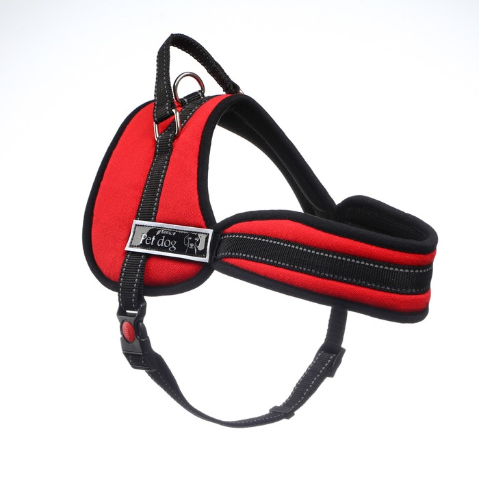 Шлейка с подкладом, размер XL (ОШ 68, ОГ 68-86 см), стропа 2,5 см, красная