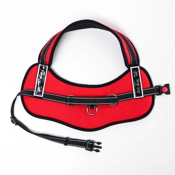 Шлейка с подкладом, размер XL (ОШ 68, ОГ 68-86 см), стропа 2,5 см, красная