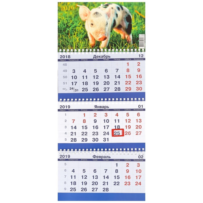 Календарь квартальный, трио "Символ года - 11" 2019 год, 20х47см