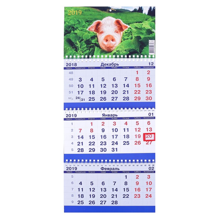 Календарь квартальный, трио "Символ года - 9" 2019 год, 20х47см