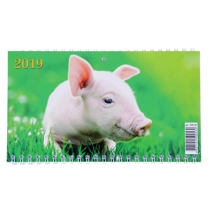 Календарь квартальный, трио "Символ года - 18" 2019 год, 20х47см