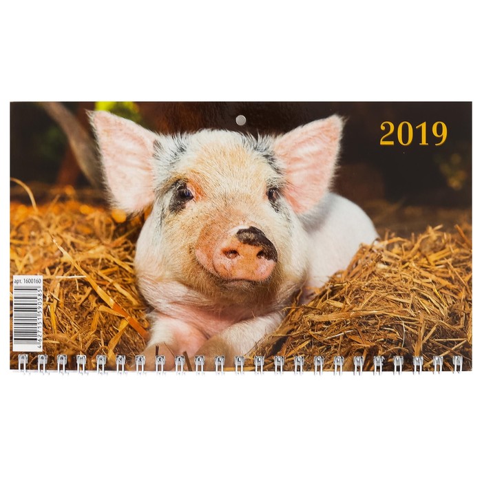 Календарь квартальный, трио "Символ года - 19" 2019 год, 20х47см