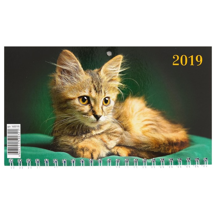Календарь квартальный, трио "Кошки - 1" 2019 год, 20х47см
