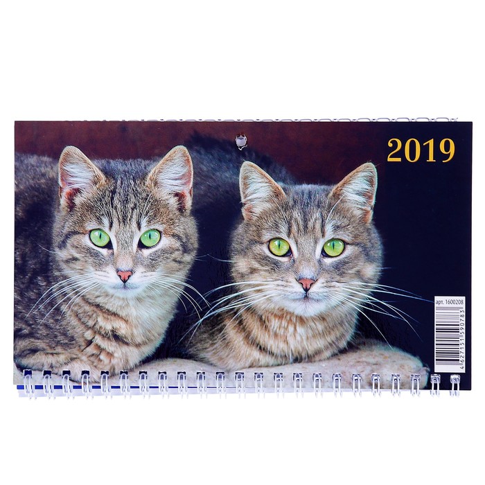 Календарь квартальный, трио "Кошки - 1" 2019 год, 20х47см