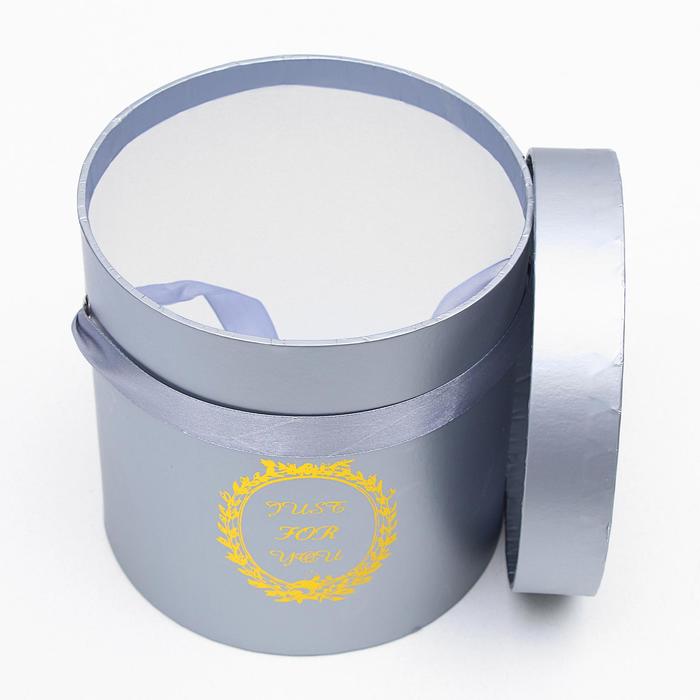 Набор коробок 3в1, цвет серебристый, 13 х 13 х 13 - 20 х 20 х 20 см