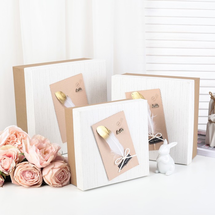 Набор коробок 3в1, 27 х 27 х 11,5 - 20,5 х 20,5 х 8 см