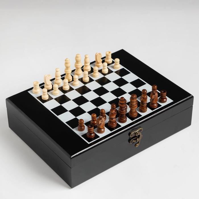 Набор: шахматы, лото, 22 х 27 см