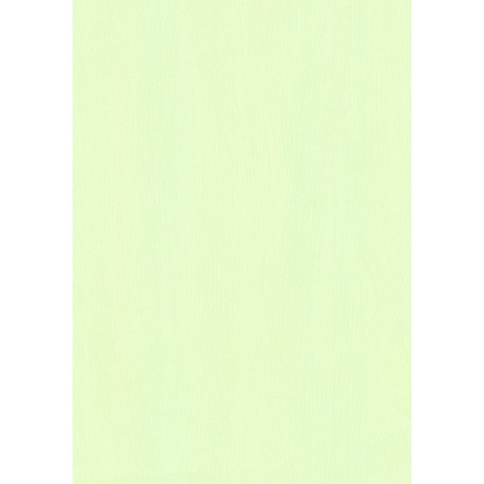 Обои горячее тиснение на флизелине Erismann-R 3471-8, Камелия фон, 1,06х10 м