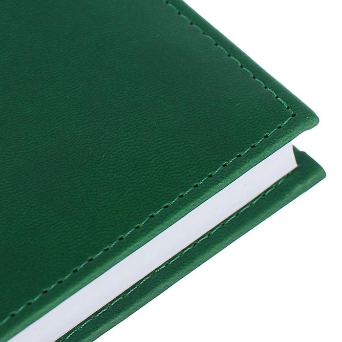 Ежедневник датированный 2019 г А5, 336 страниц, Вивелла, зелёный