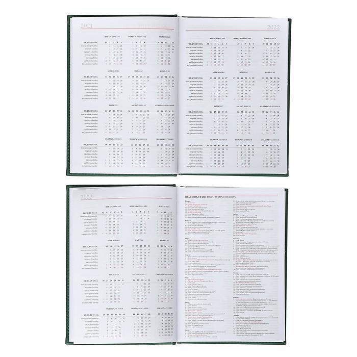 Ежедневник датированный 2019 г А5, 336 страниц, Вивелла, зелёный