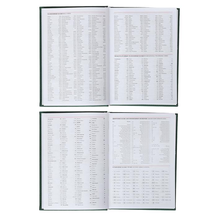 Ежедневник датированный 2019 г А5, 336 страниц, Вивелла, зелёный