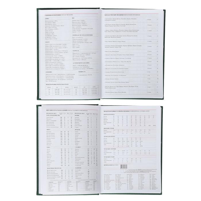Ежедневник датированный 2019 г А5, 336 страниц, Вивелла, зелёный