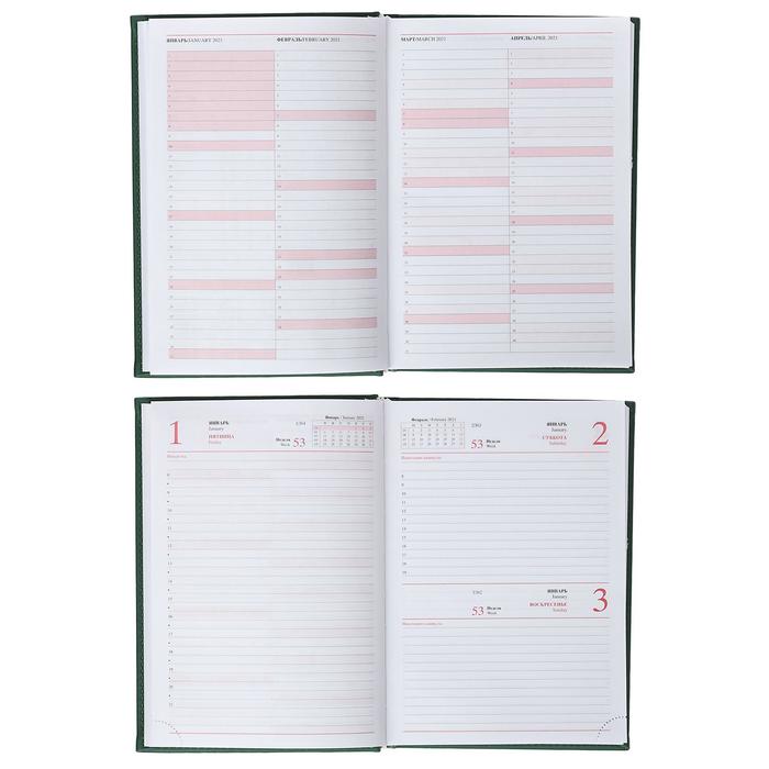 Ежедневник датированный 2019 г А5, 336 страниц, Вивелла, зелёный