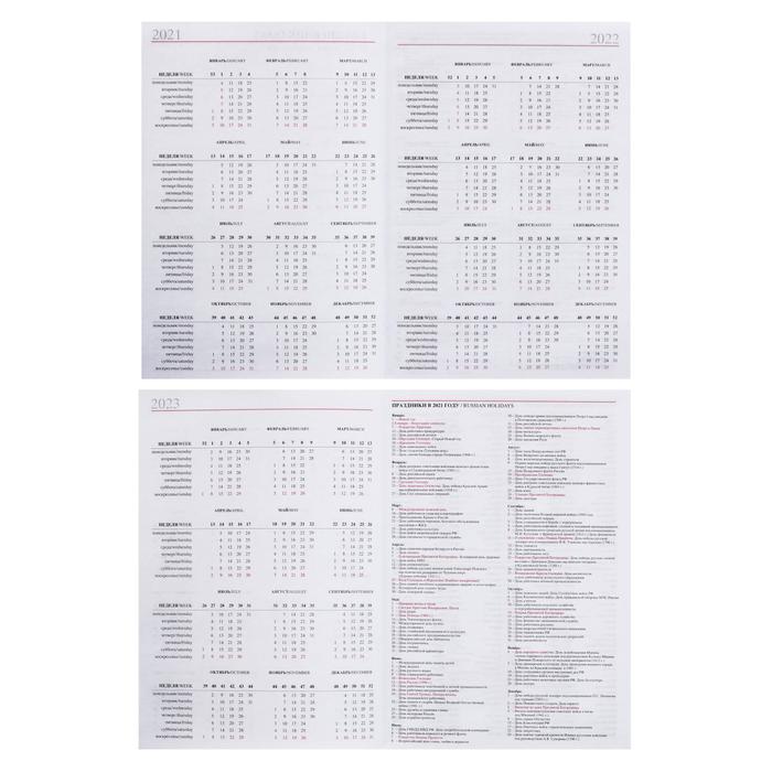 Ежедневник датированный 2019 г А5, 336 страниц, Вивелла, красный