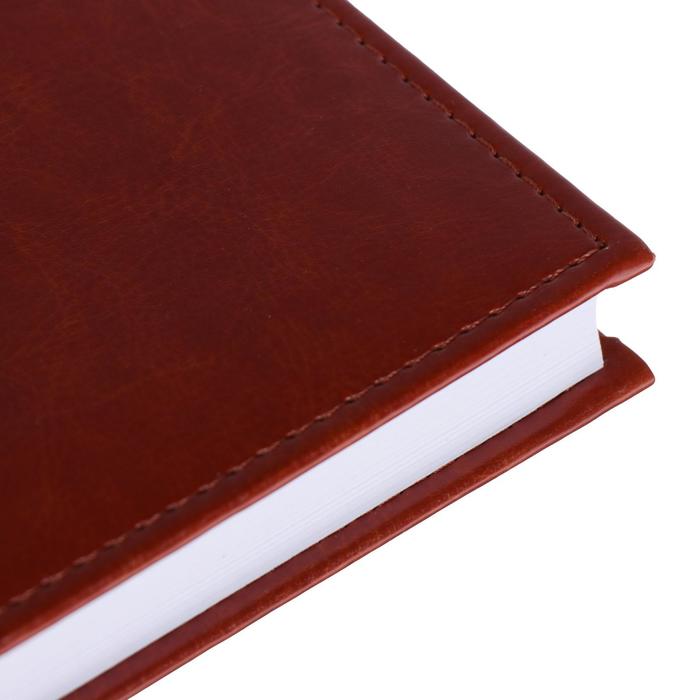 Ежедневник датированный 2019 г А5, 336 страниц, Небраска, коричневый