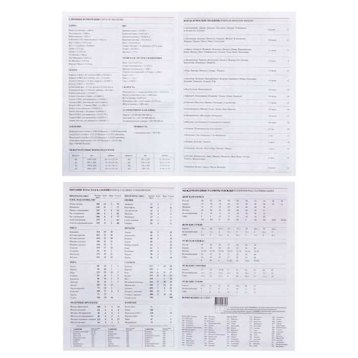 Ежедневник датированный 2019 г А5, 336 страниц, Небраска, коричневый