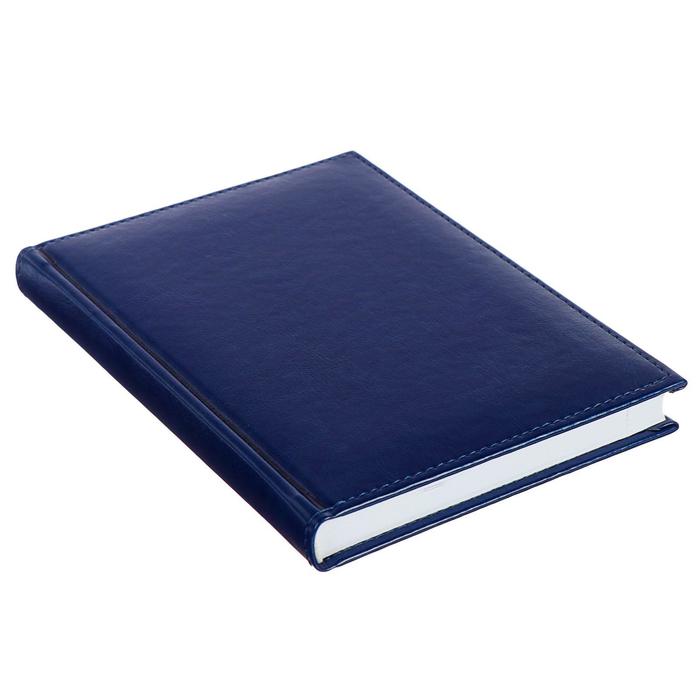 Ежедневник датированный 2019 г А5, 336 страниц, Небраска, синий