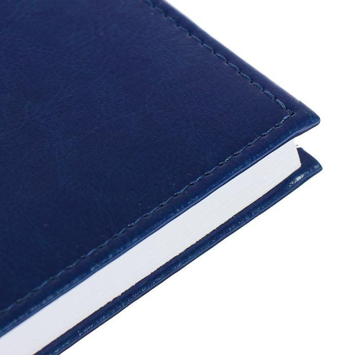 Ежедневник датированный 2019 г А5, 336 страниц, Небраска, синий