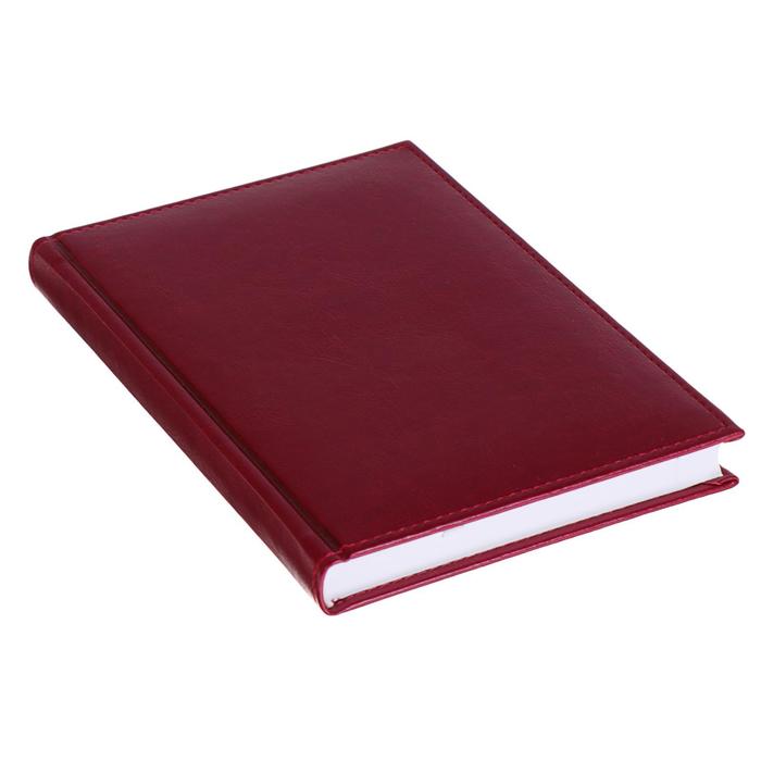 Ежедневник датированный 2019 г А5, 336 страниц, Небраска, бордо