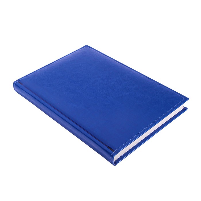 Ежедневник датированный 2019 г А5, 336 страниц, Небраска, синий